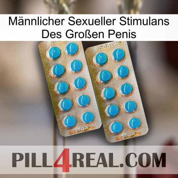 Männlicher Sexueller Stimulans Des Großen Penis new08.jpg